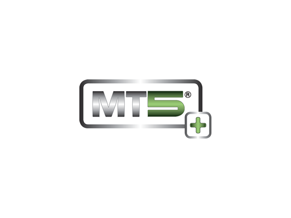 
                MUL-T-LOCK MT5+ LOGO 
             	