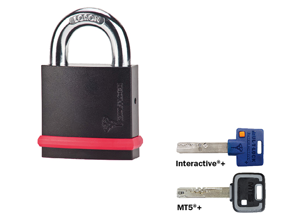 
                Замок навесной MUL-T-LOCK NE10L / NE12L / NE14L
                    