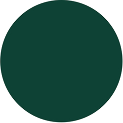 Ретушуючий маркер FSG 1169 (RAL 6005) Зелений лісовий