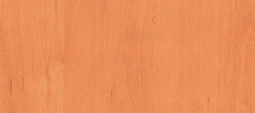 ALDER 1