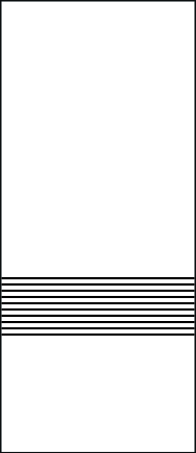 Geo 53