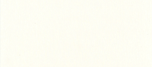 SWAN_WHITE