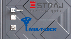 Двері STRAJ HOOK з Замками MUL-T-LOCK Integrator